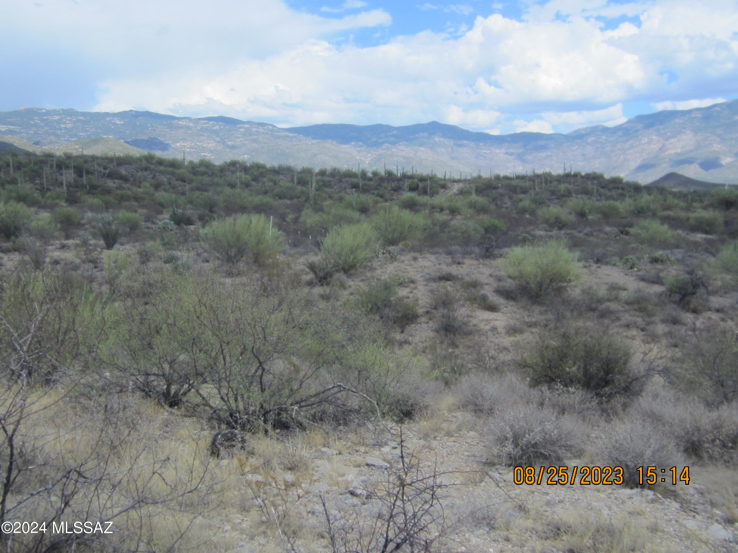 0 East Rincon Creek Ranch Road Tucson, AZ 85747 - Photo 19 of 46 Gallery Image 19
