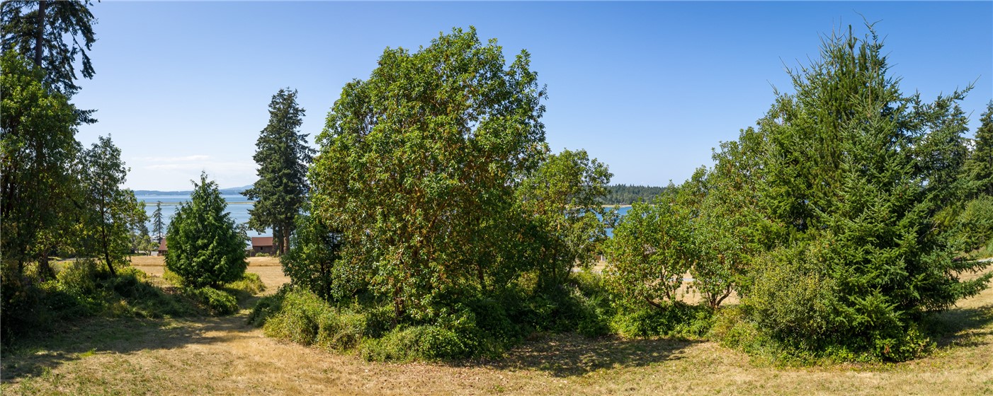 4 Rum Runner Road Lopez Island, WA 98261 - Photo 3 of 8 Gallery Image 3