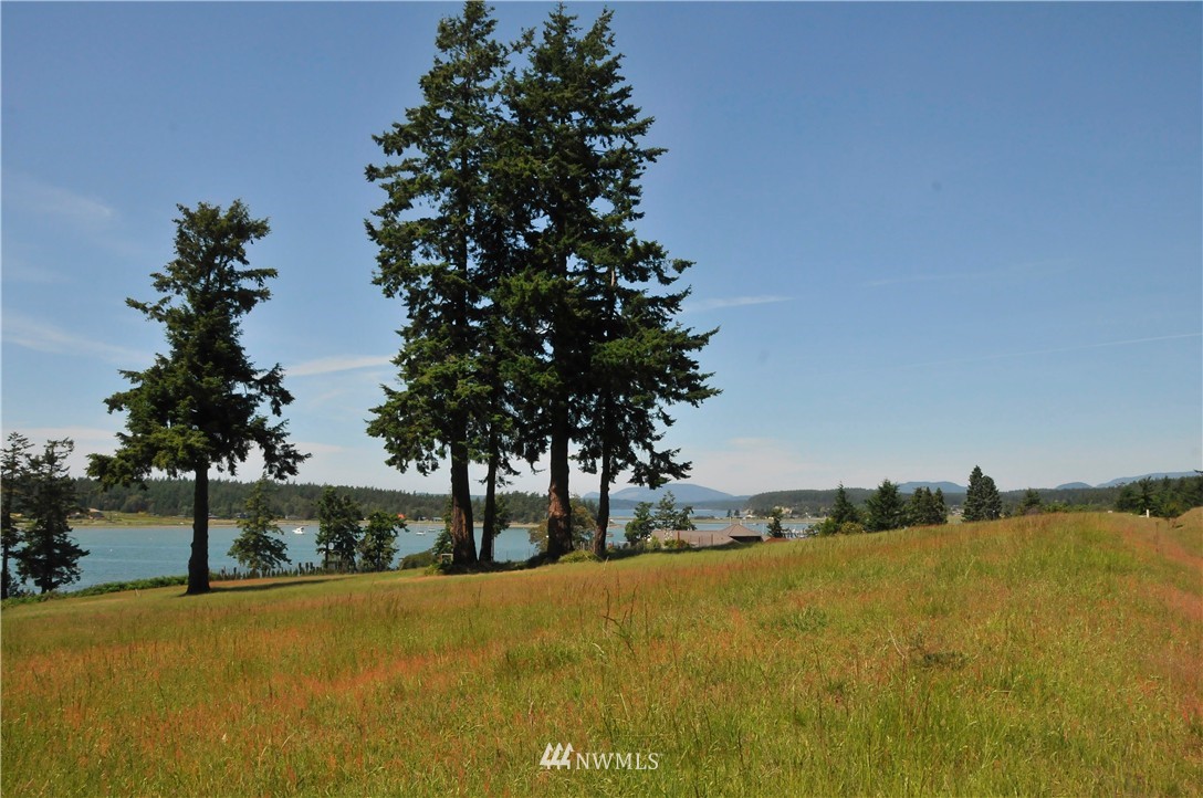 4 Rum Runner Road Lopez Island, WA 98261 - Photo 6 of 8 Gallery Image 6