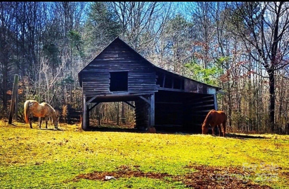 0 Macedonia Church Road Vale, NC 28168 - Photo 3 of 12