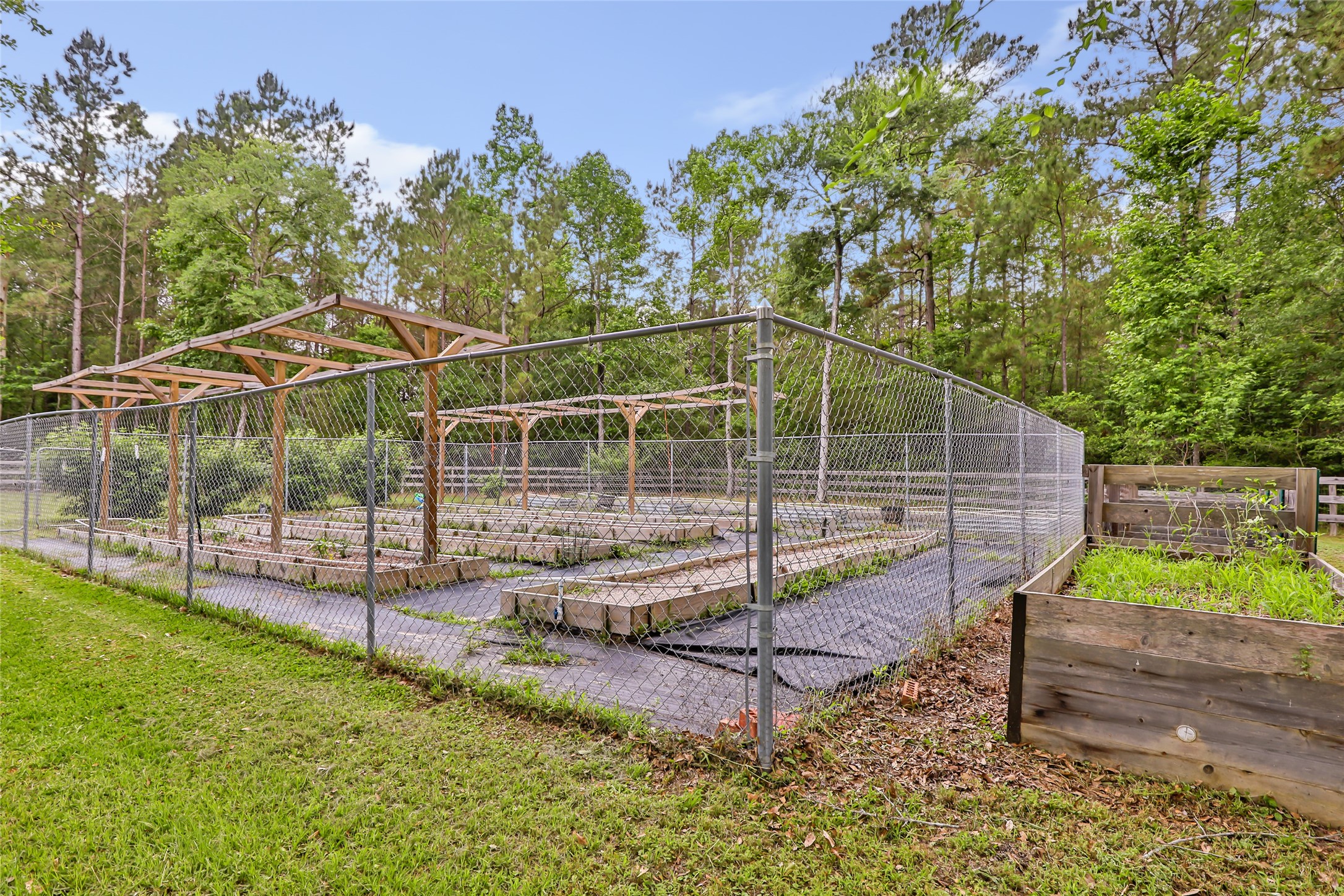 229 Sundog Road Huntsville, TX 77340 - Photo 44 of 50 Enjoy fresh picked vegetables from this vegetable garden space