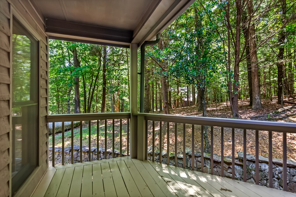 63 Misty Hollow Road Ellijay, GA 30536 - Photo 59 of 63 Gallery Image 59