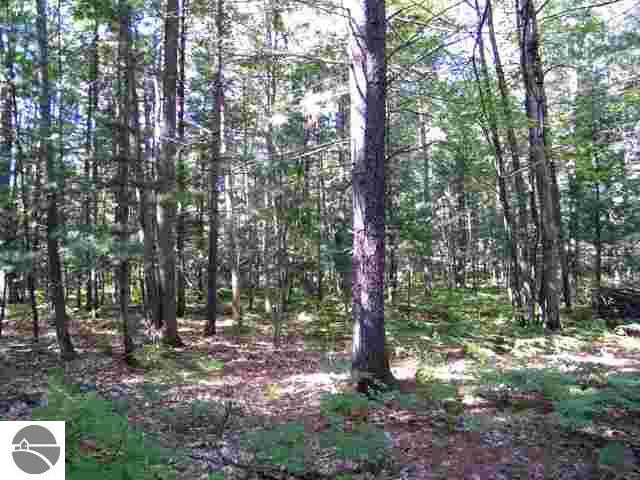 5315 Scout Camp Road Traverse City, MI 49696 - Photo 12 of 20 1735425-11.JPG