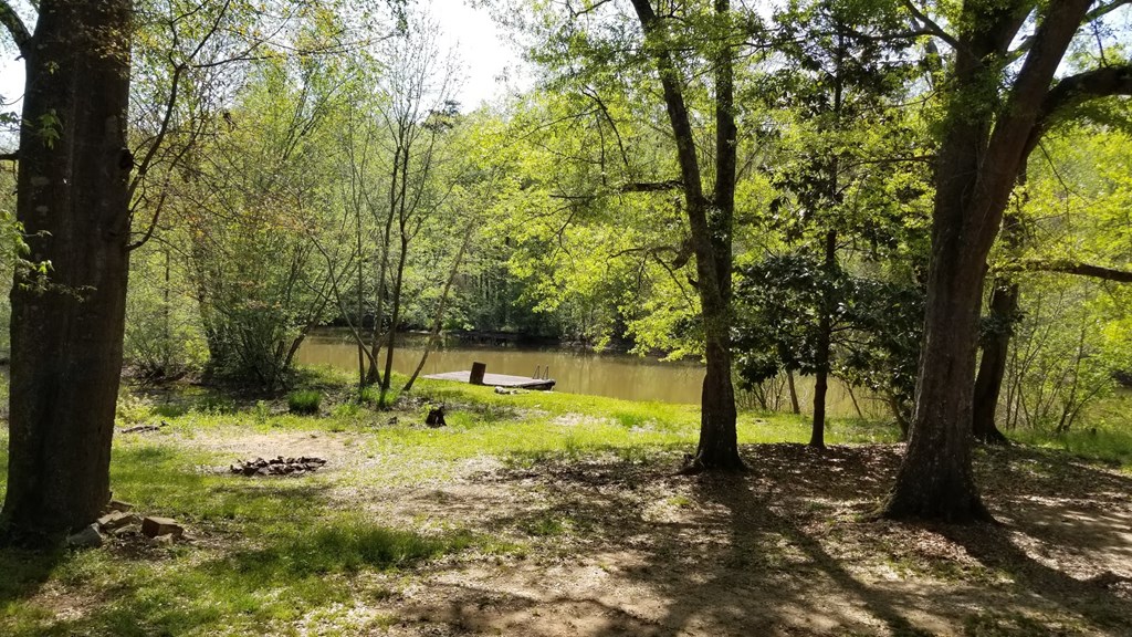 5212 Lick Skillet Road Hamilton, GA 31811 - Photo 15 of 17 a view of swimming pool with a yard