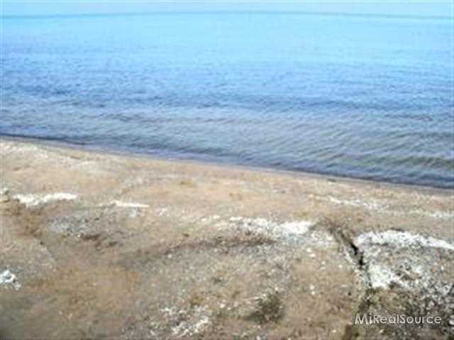 4876 Lakeshore Road Deckerville, MI 48427 - Photo 3 of 11 31148918-2.JPG