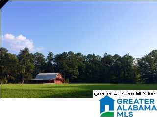 Saunders Bridge Road Sterrett, AL 35147 - Photo 4 of 15