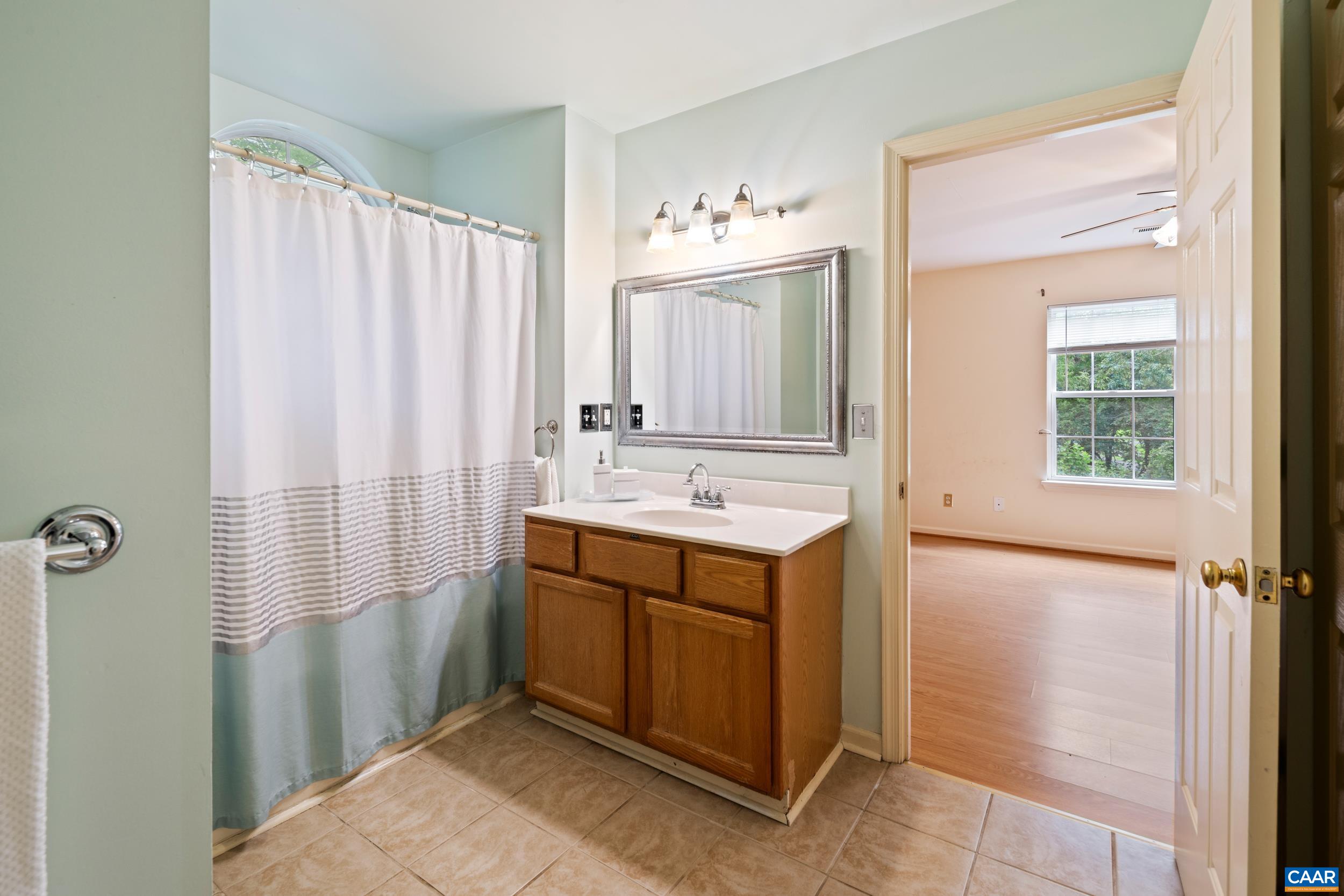 183 Rustling Oaks Way Ruckersville, VA 22968 - Photo 38 of 52 a bathroom with a sink and a mirror