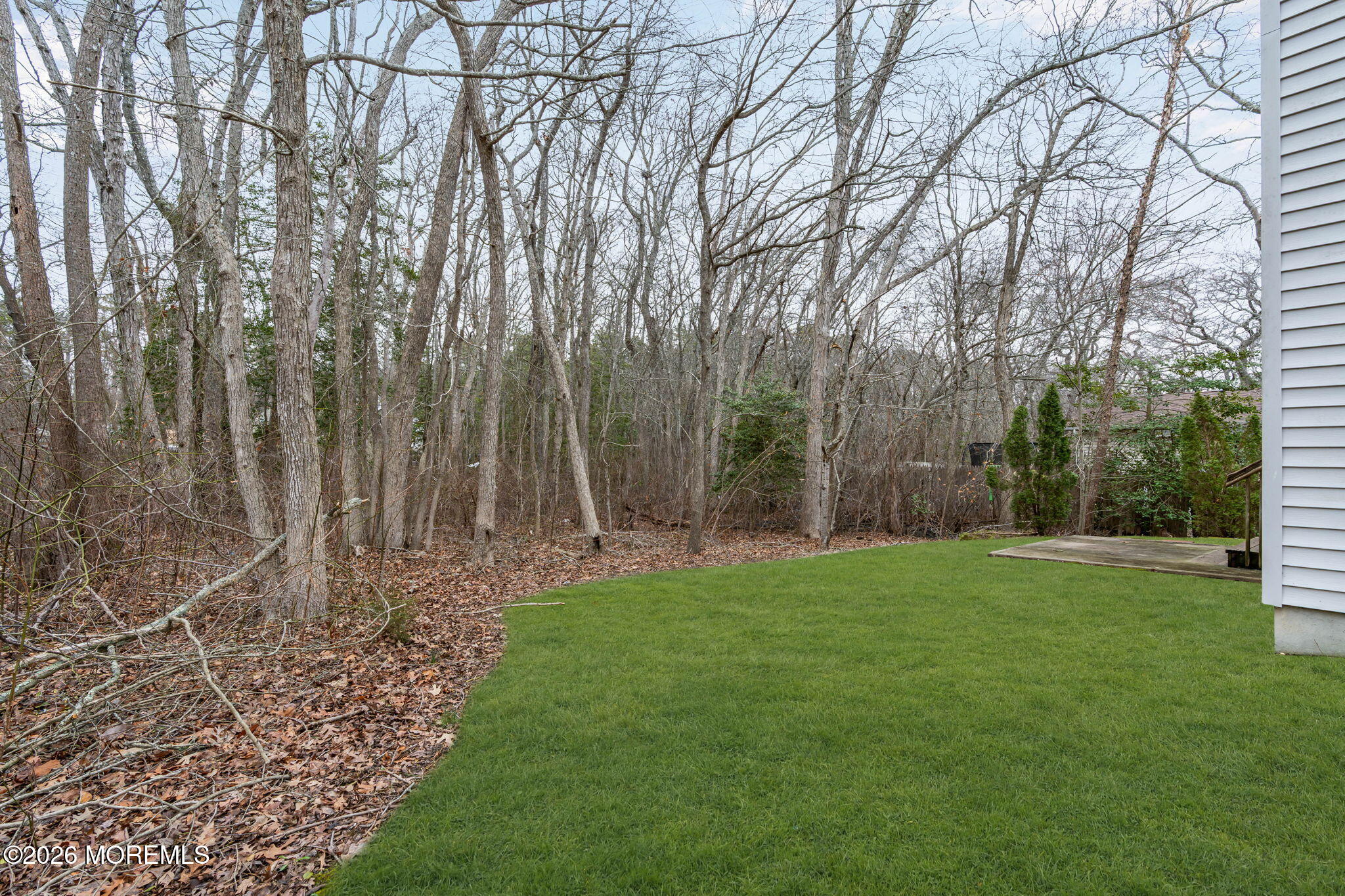 9 Forecastle Way Waretown, NJ 08758 - Photo 45 of 51 a view of a backyard with large trees