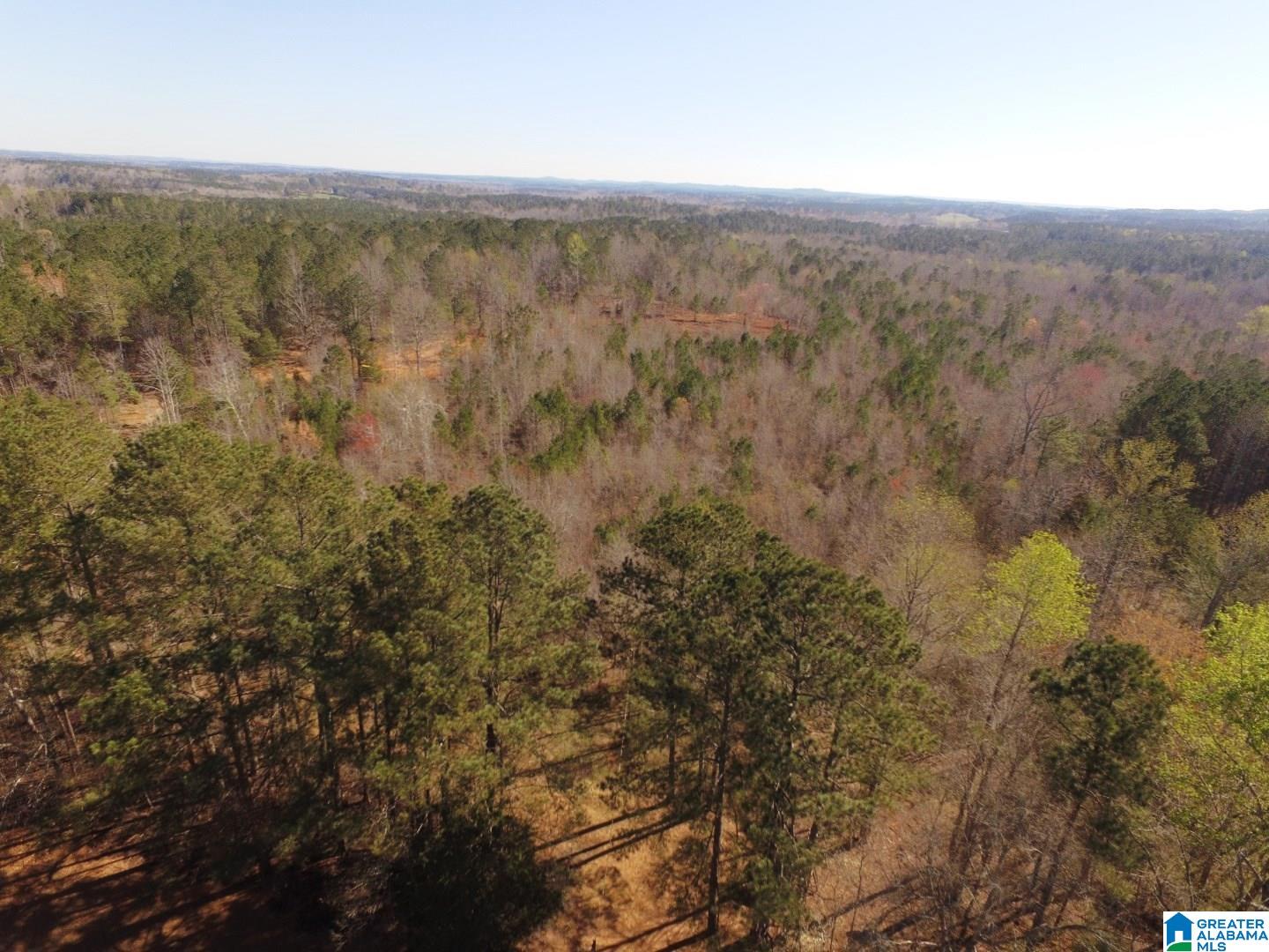 3045 Corinth Road, Unit 56 ACRES Cragford, AL 36255 - Photo 20 of 29