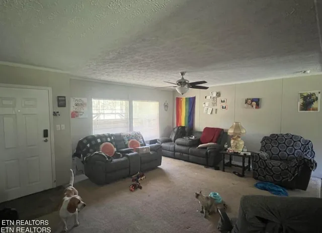 $245,000 | 306 Honeycutt Road, Oneida, TN 37841