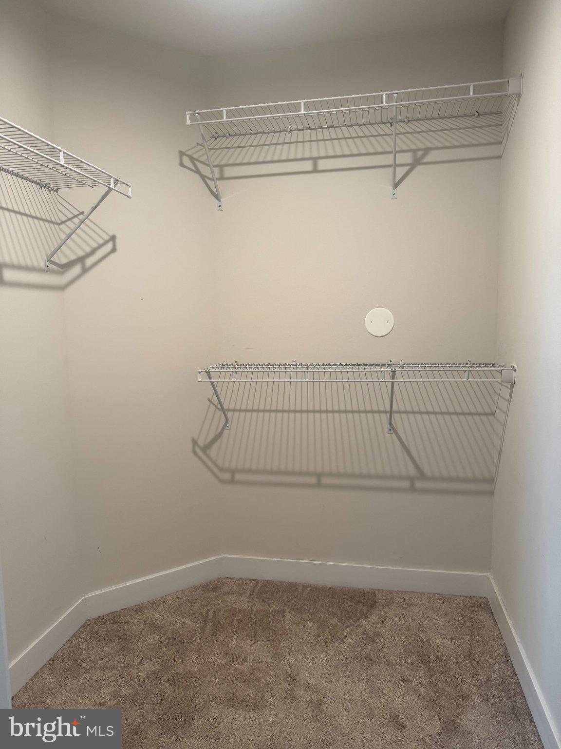 10010 Ruffian Way, Unit R Laurel, MD 20723 - Photo 25 of 30 Spacious, organized closet ready for use.