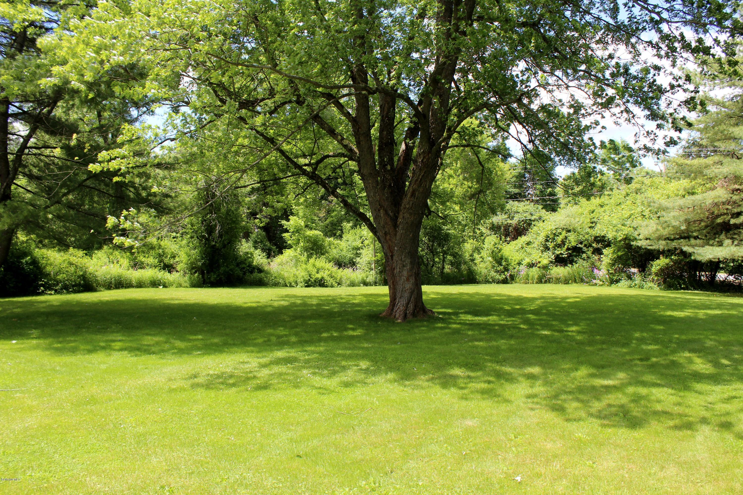 73 East New Lenox Road Pittsfield, MA 01201 - Photo 5 of 25 IMG_0793