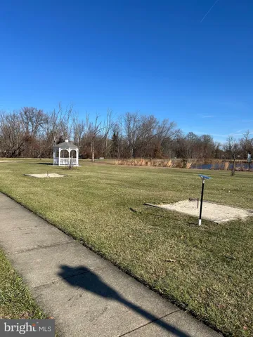 a view of a park with large trees
