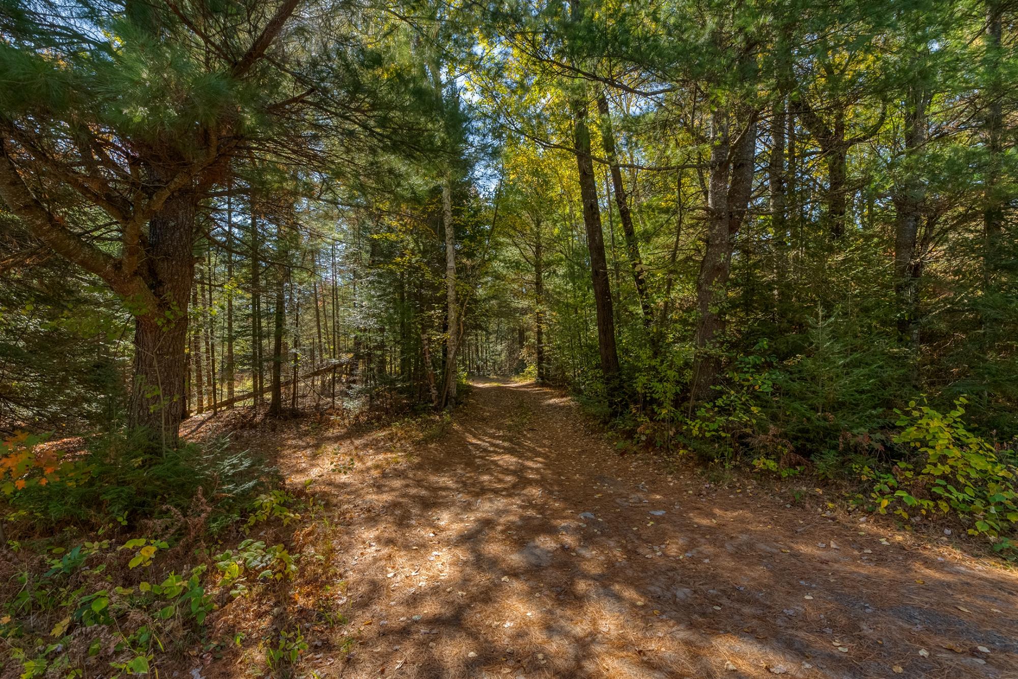On On Balsam Lane Rhinelander, WI 54501 - Photo 3 of 10 Gallery Image 3