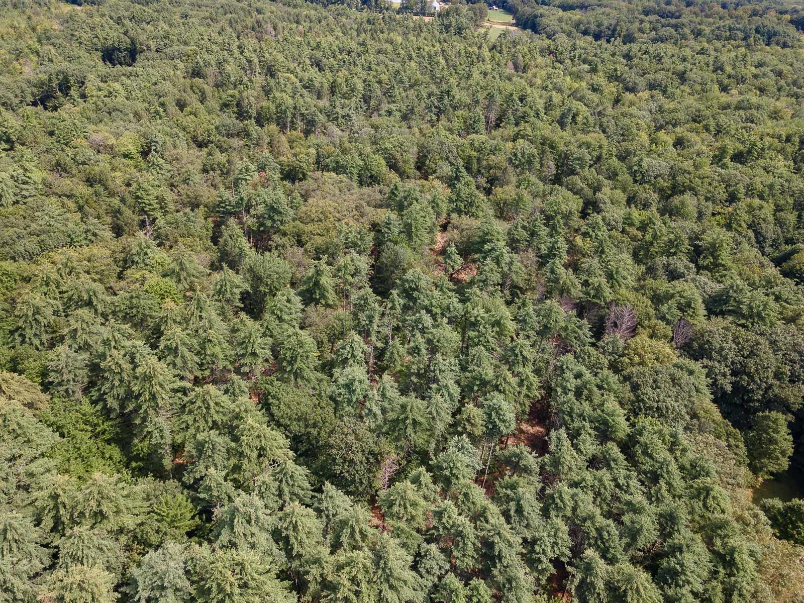 Tbd Second Crown Point Road, Unit MAP 19 482 Strafford, NH 03884 - Photo 4 of 5