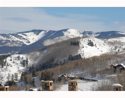 1256 Bachelor Ridge Road, Unit 7 Beaver Creek, CO 81620 - Photo 6 of 12 Additional Photo