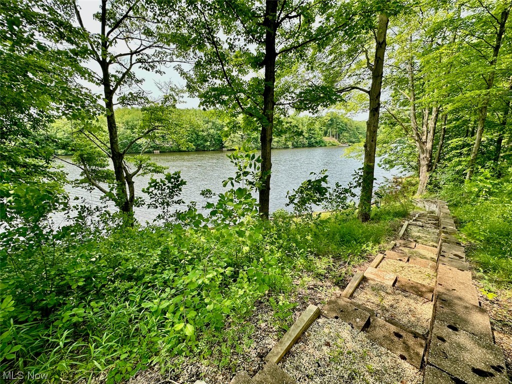 17725 Burrows Road Thompson, OH 44086 - Photo 15 of 16 Gallery Image 15