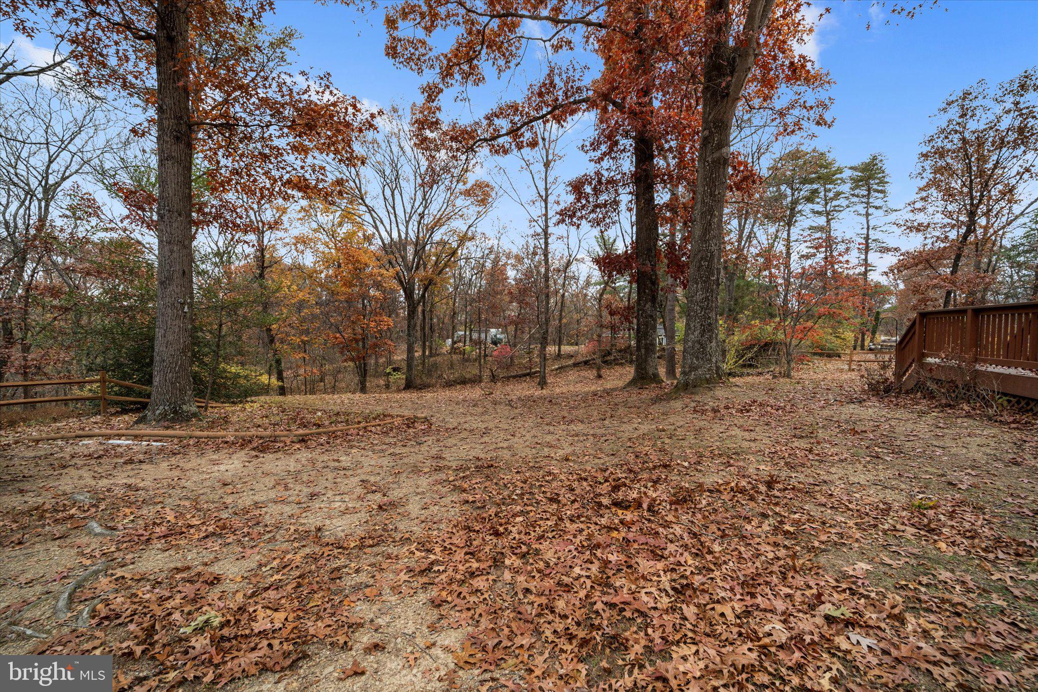 5673 Senseny Road Berryville, VA 22611 - Photo 36 of 41 Gallery Image 36