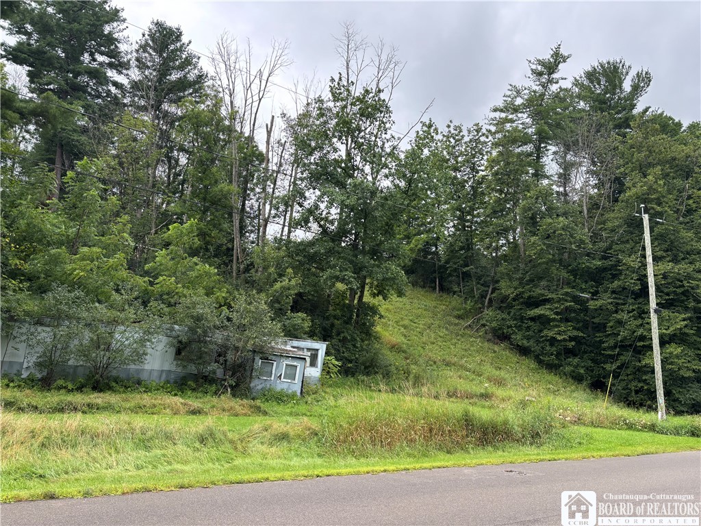 Back River Road Belmont, NY 14813 - Photo 11 of 11 Gallery Image 11