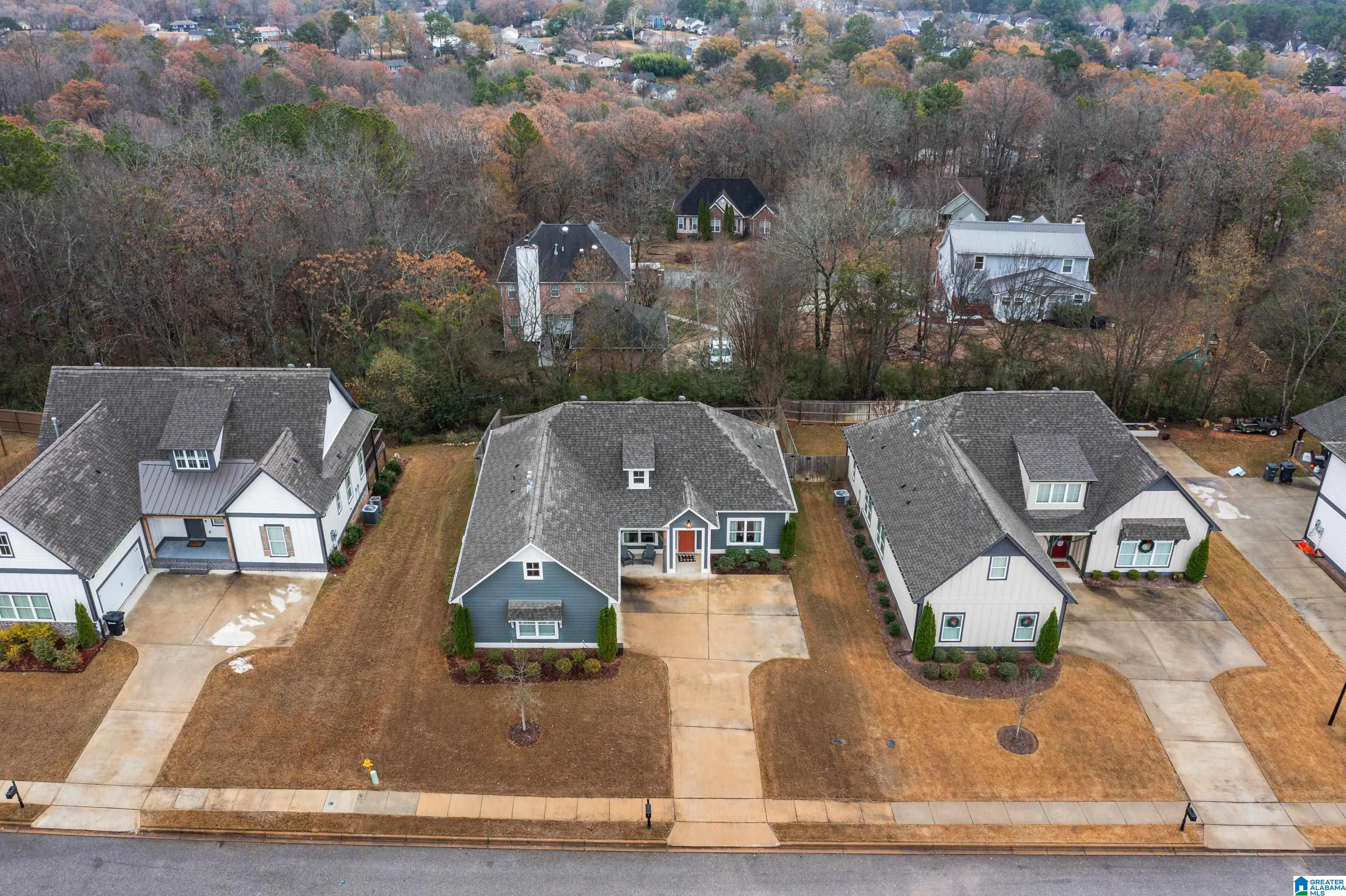 4026 Camellia Ridge Cove Pelham, AL 35124 - Photo 2 of 56