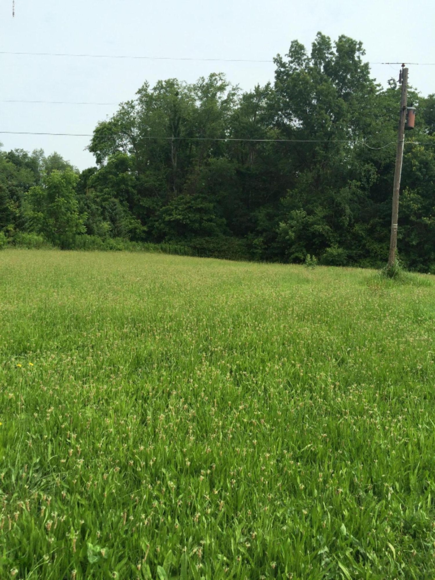 5755 Buffalo Road Buchanan, MI 49107 - Photo 2 of 7 304 2