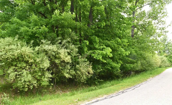 $39,900 | Lot 271 Islanders Way, Beaverton, MI 48612