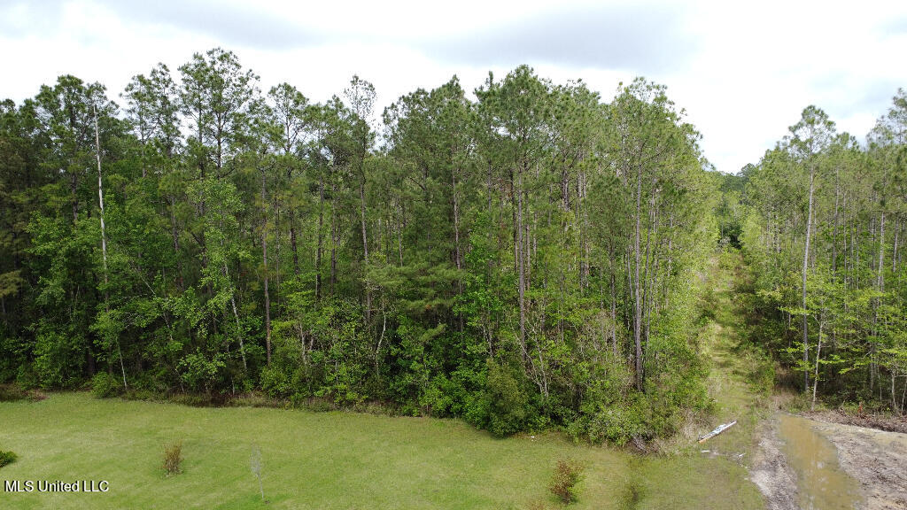 Floral Street Moss Point, MS 39562 - Photo 1 of 12 Primary Photo