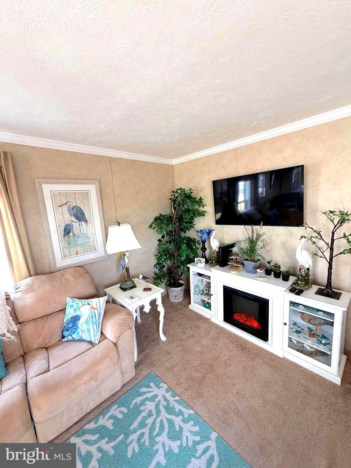 38025 Rabbit Road, Unit 101 Ocean View, DE 19970 - Photo 44 of 112 a living room with furniture a flat screen tv and a fireplace