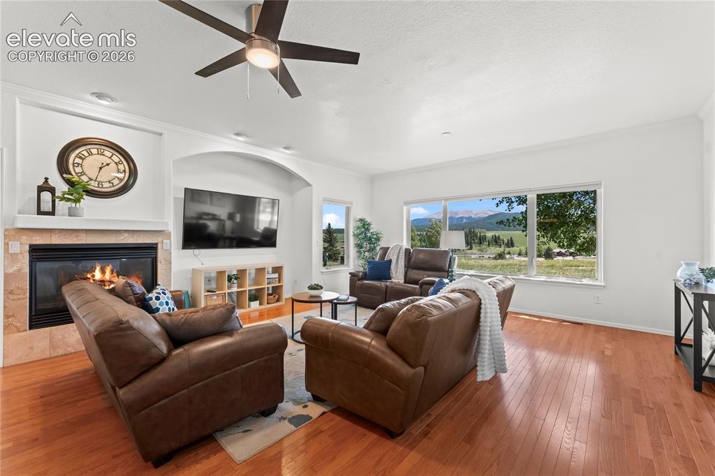 106 Joshua Road Divide, CO 80814 - Photo 6 of 39
