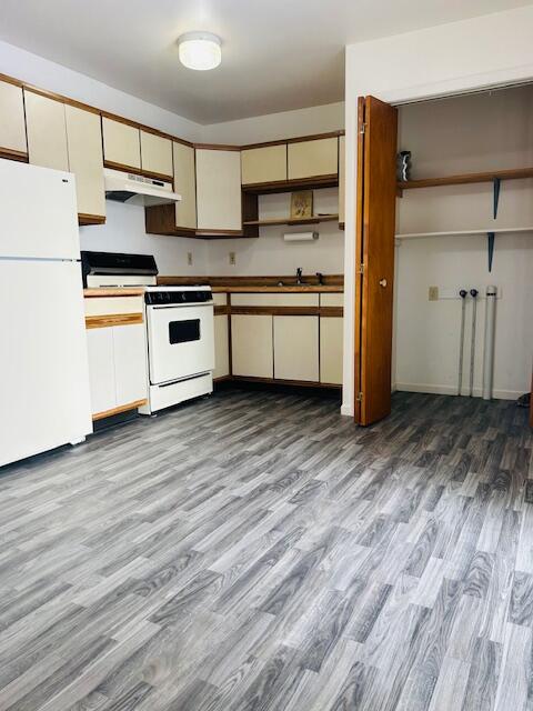 407 East Lincoln Avenue Reed City, MI 49677 - Photo 6 of 18 IMG_3357