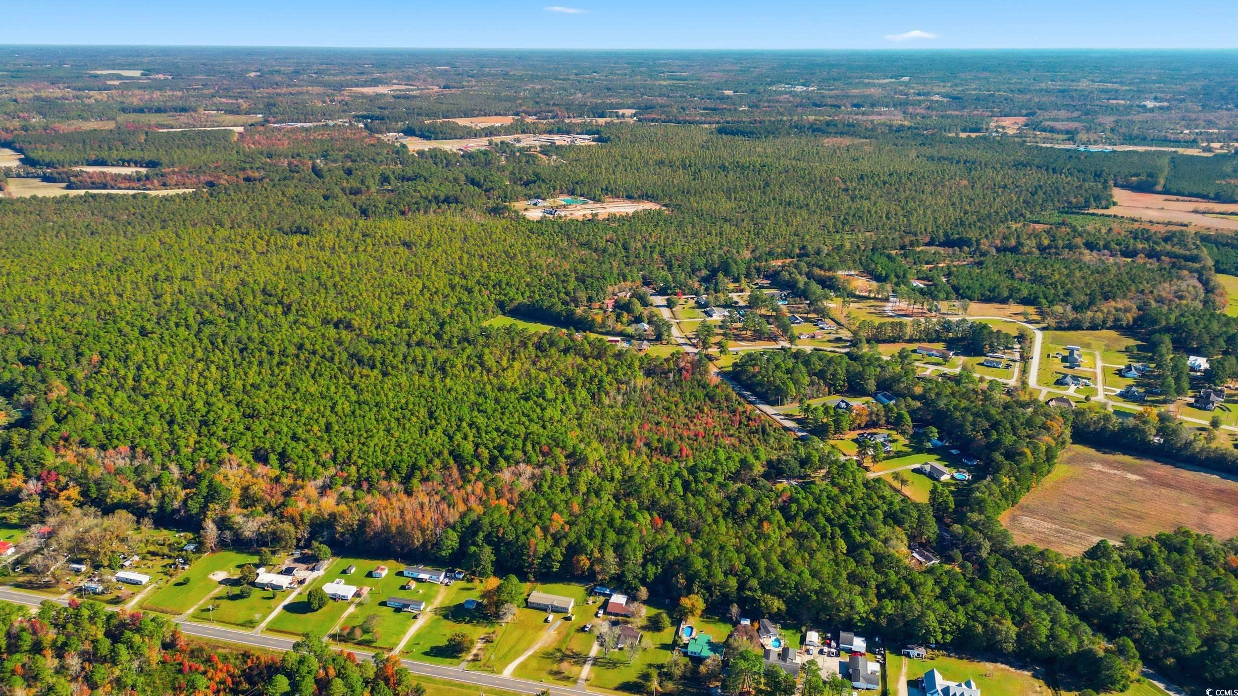 0 Heritage Road Loris, SC 29569 - Photo 6 of 9 View of property location with a heavily wooded area