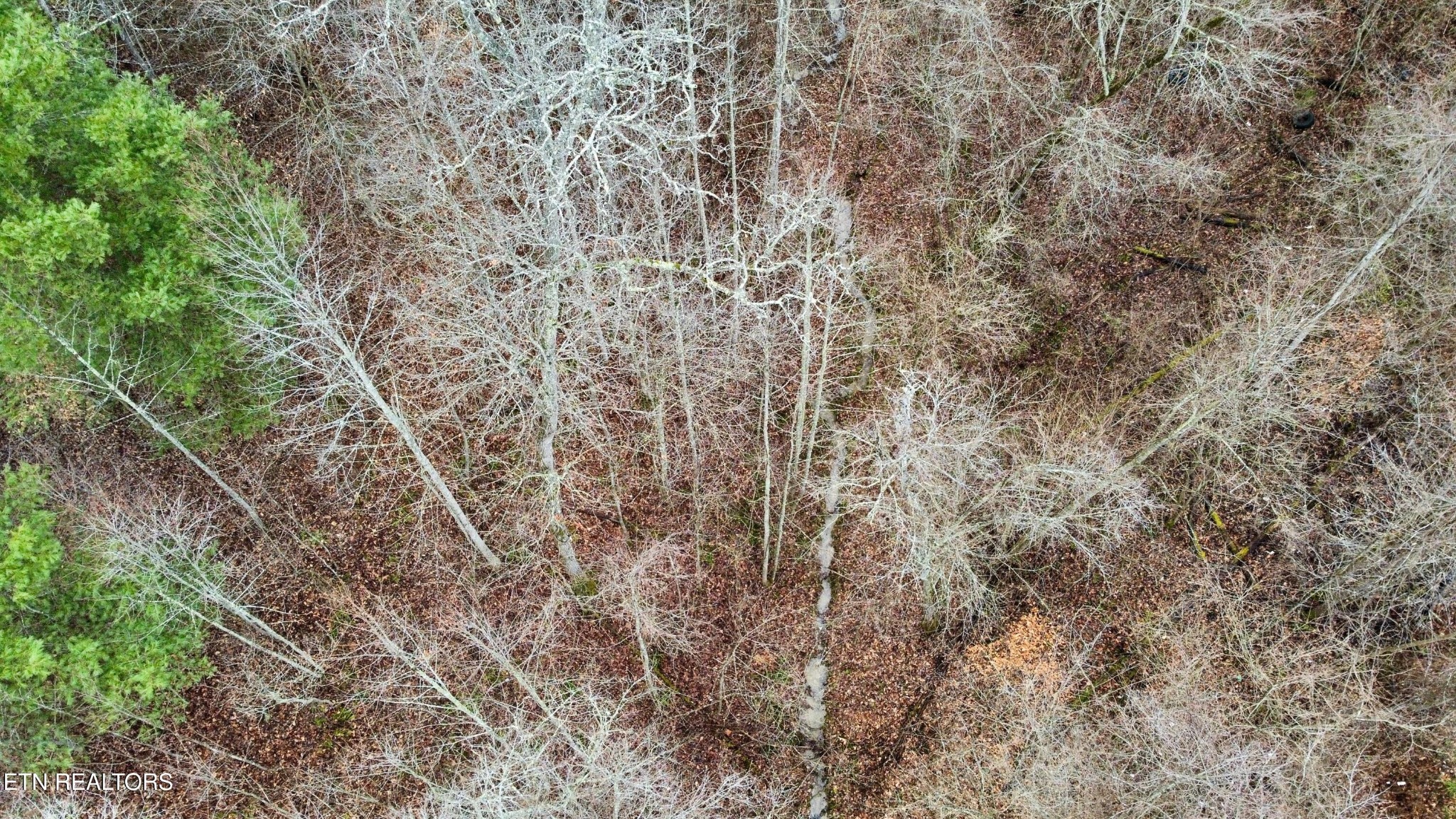 0 Rock House Road Pioneer, TN 37847 - Photo 5 of 14 Gallery Image 5