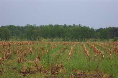 Hillis Road, Unit PAR A Stanton, MI 48888 - Photo 1 of 1 Primary Photo