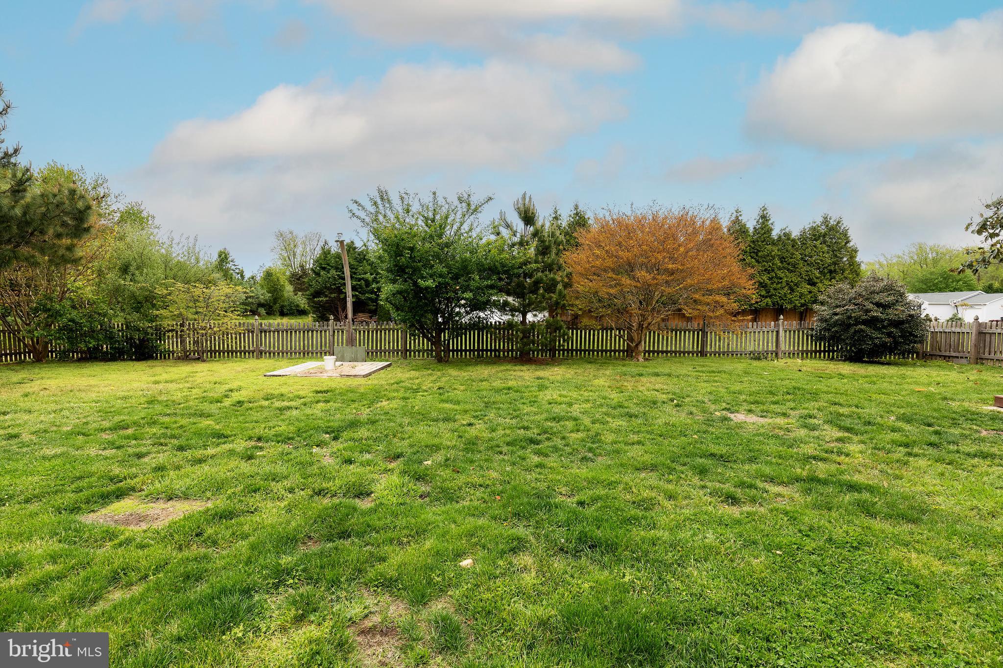 40 Harborview Road Lewes, DE 19958 - Photo 61 of 61 Back Yard