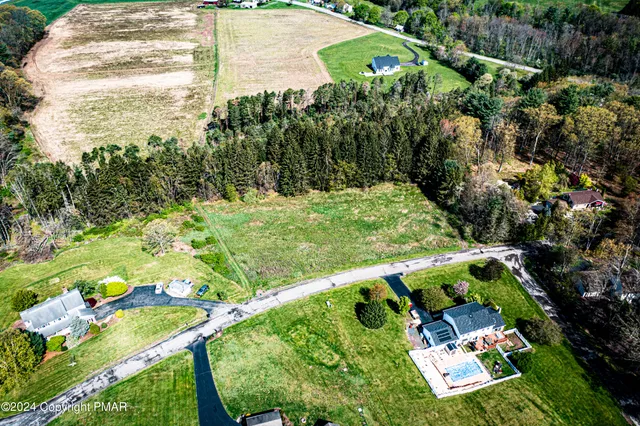 a view of a yard with plants