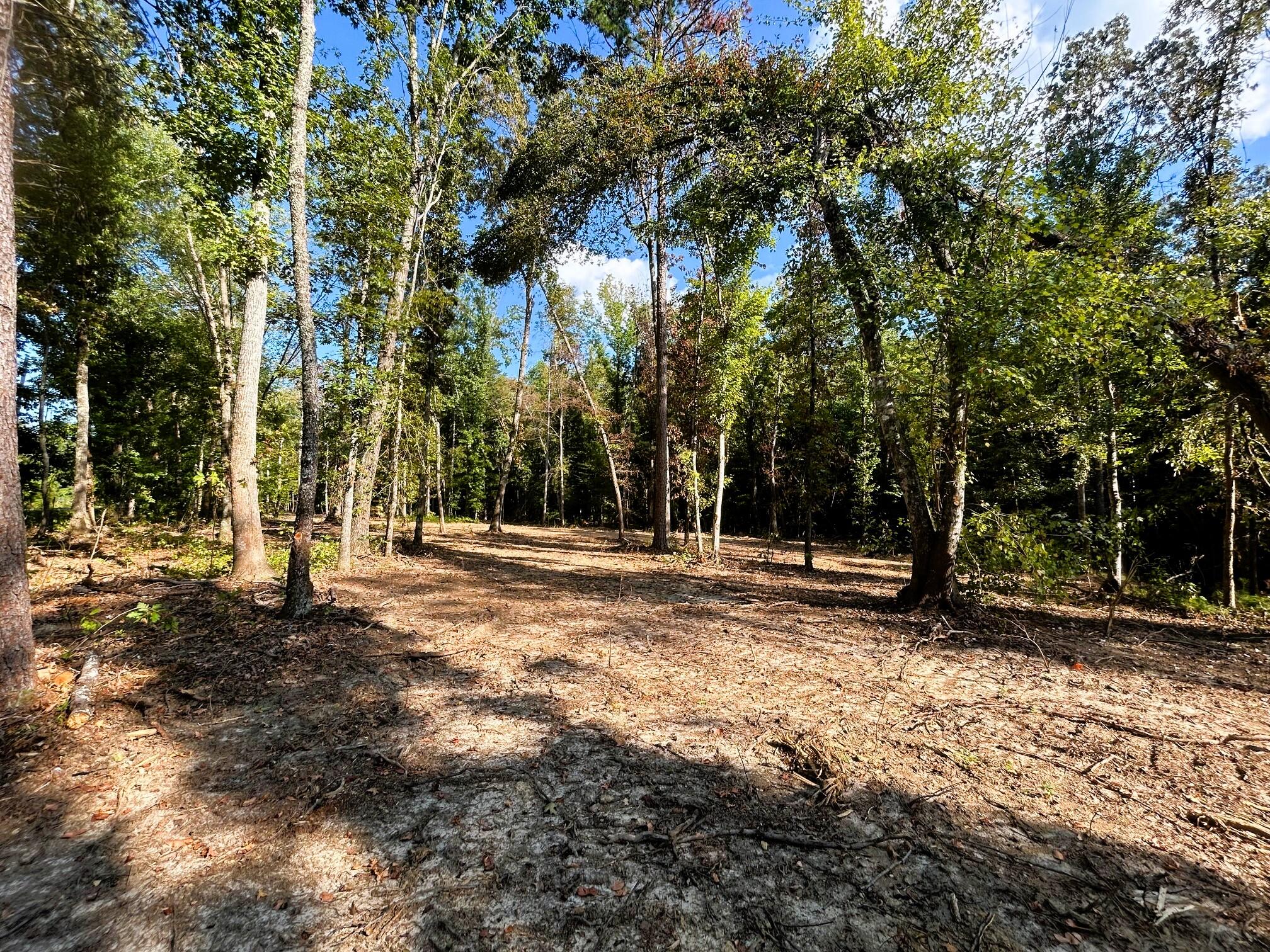 2 Pleasant Hill Road Ten Mile, TN 37880 - Photo 5 of 10 Utilities available