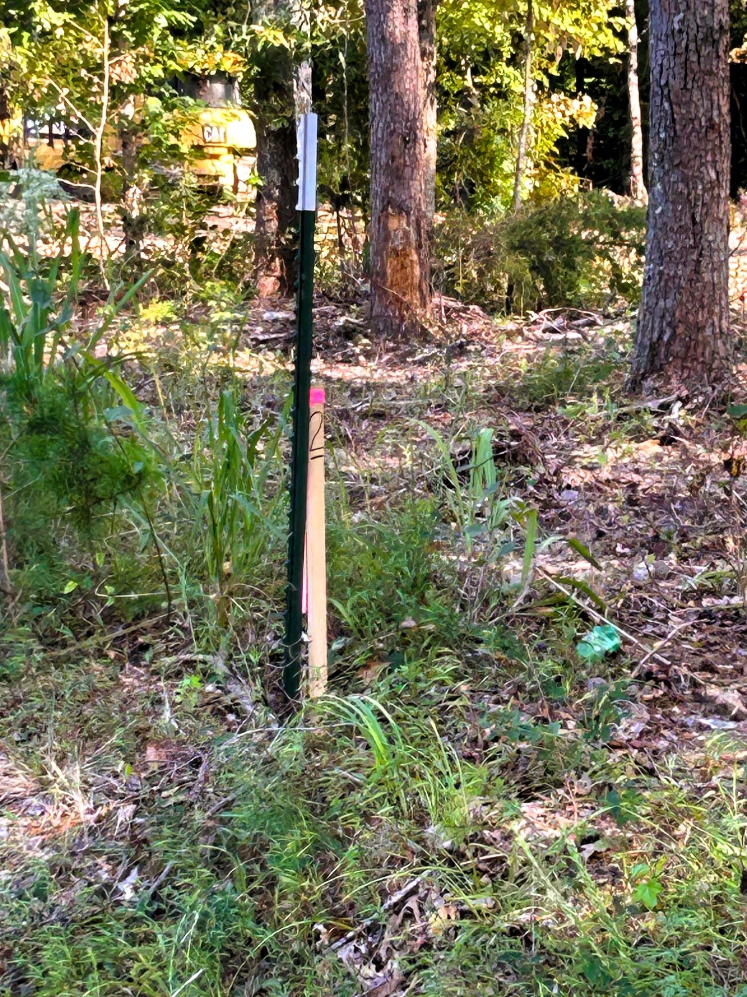 2 Pleasant Hill Road Ten Mile, TN 37880 - Photo 6 of 10 Corner Markers