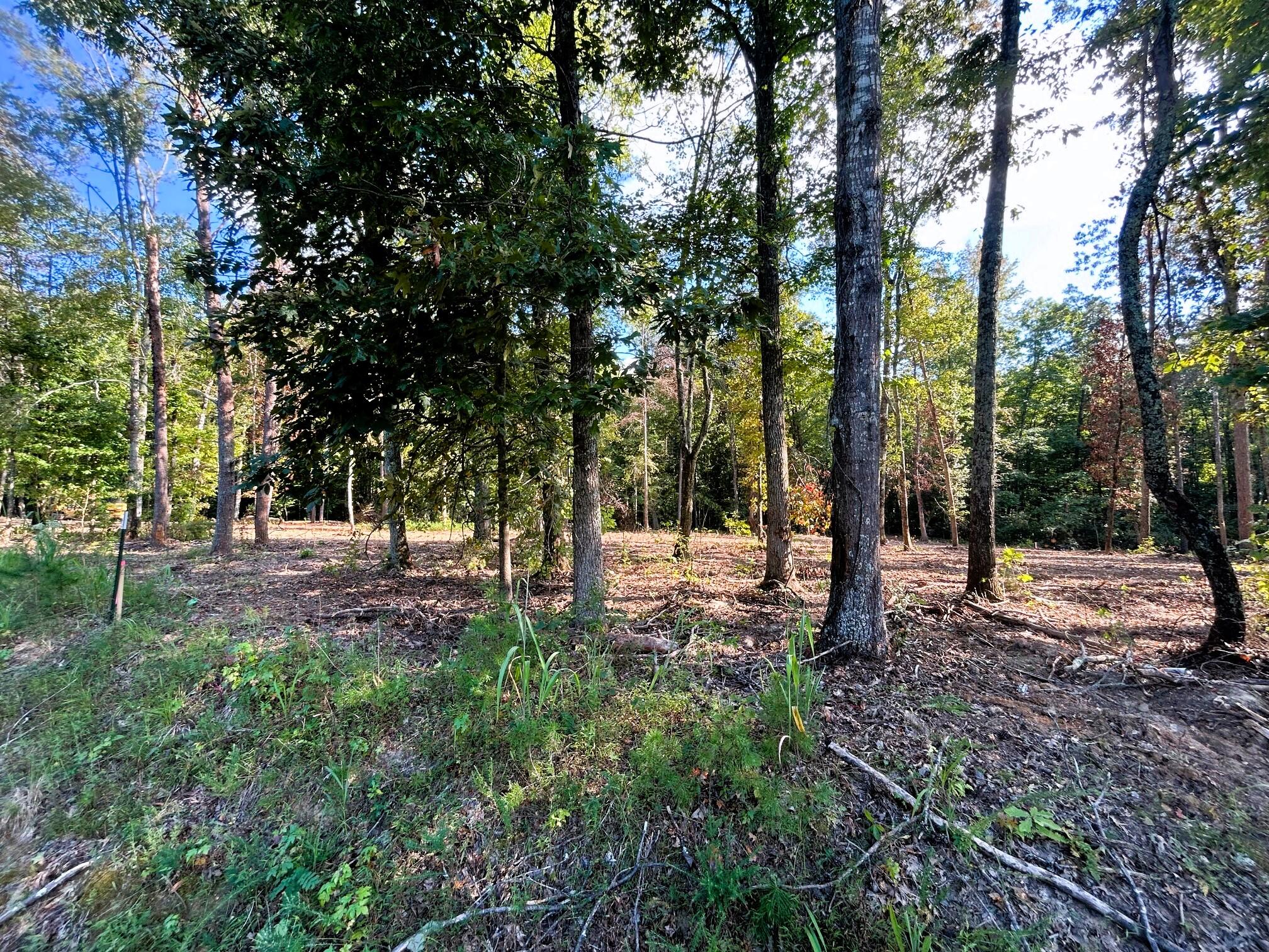 2 Pleasant Hill Road Ten Mile, TN 37880 - Photo 7 of 10 Great Loaction