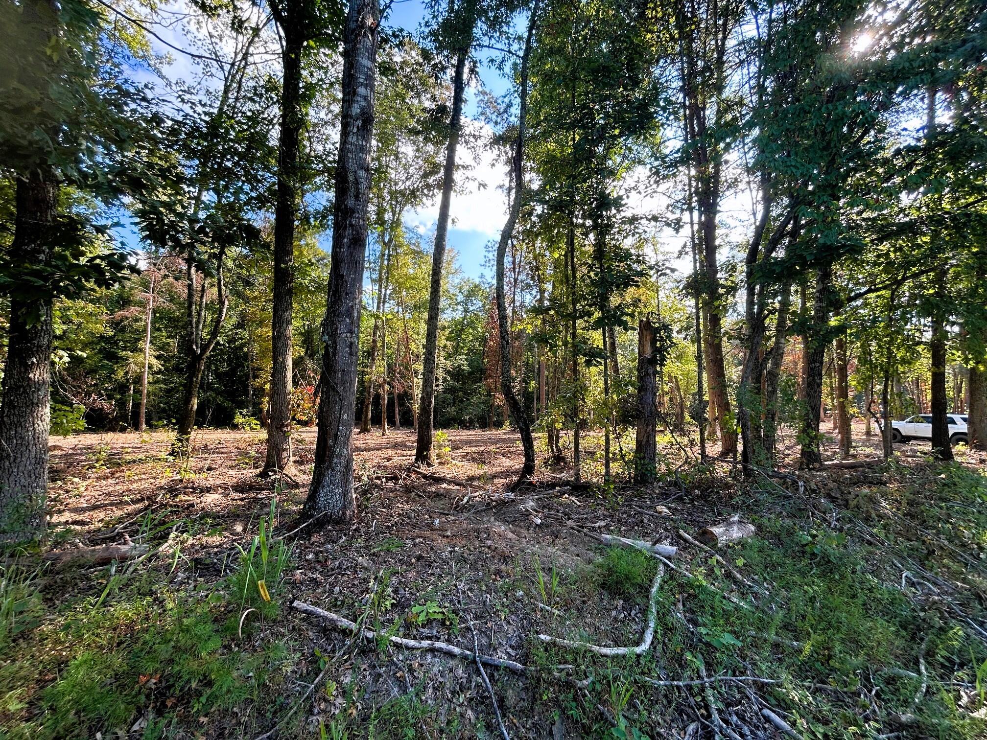 2 Pleasant Hill Road Ten Mile, TN 37880 - Photo 8 of 10 IMG_3893