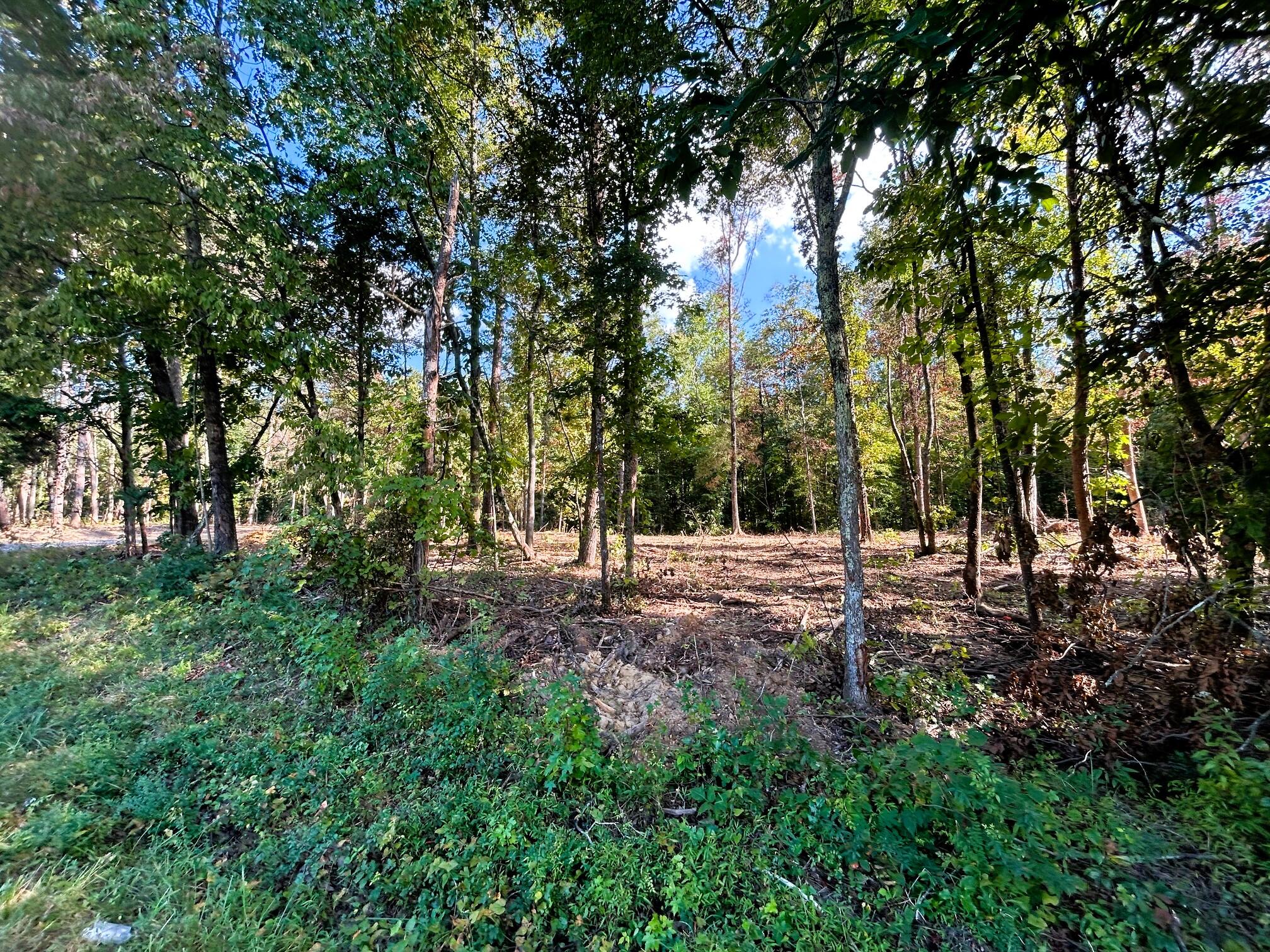 2 Pleasant Hill Road Ten Mile, TN 37880 - Photo 9 of 10 IMG_3900