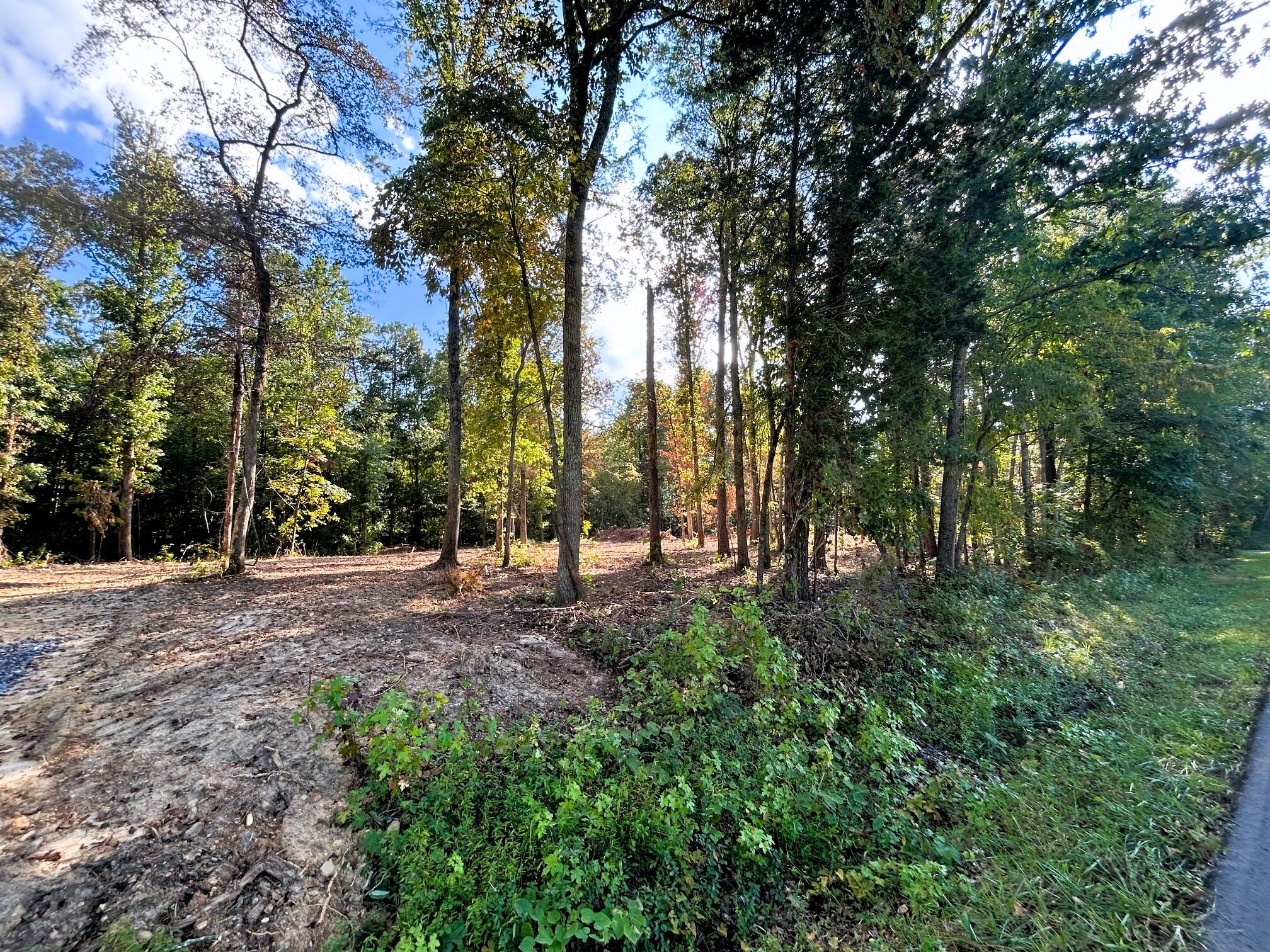 2 Pleasant Hill Road Ten Mile, TN 37880 - Photo 10 of 10 IMG_3899