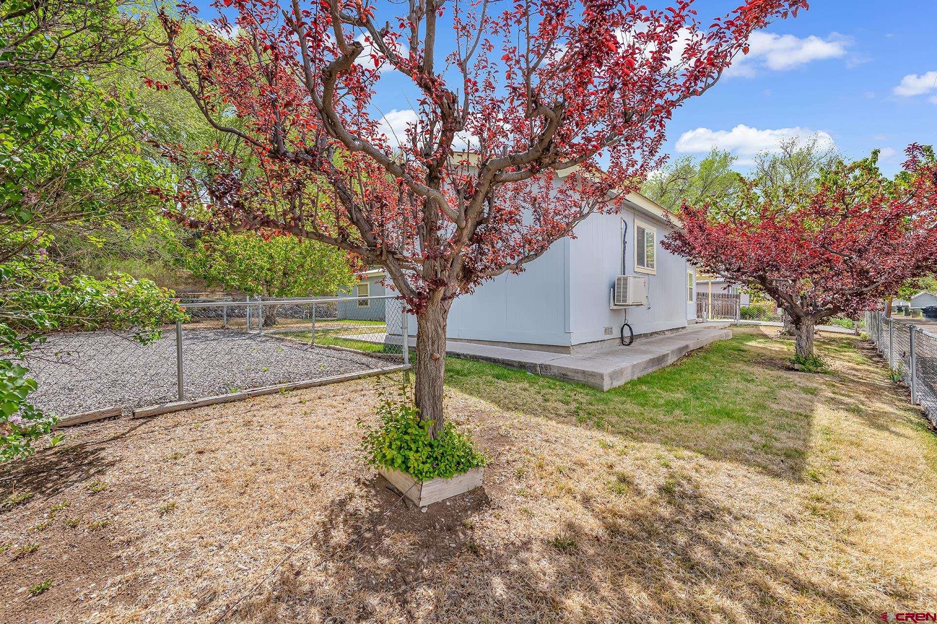 422 East 5th Street Delta, CO 81416 - Photo 4 of 35