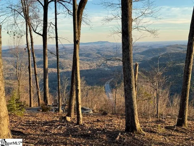 $540,000 | 1534 Panther Park Trail, Unit CVAPMP063, Travelers Rest, SC 29690