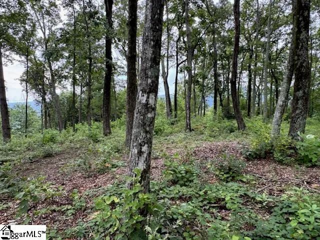 $540,000 | 1534 Panther Park Trail, Unit CVAPMP063, Travelers Rest, SC 29690