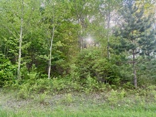 Ridgeview Road Norwich, NY 13815 - Photo 7 of 11