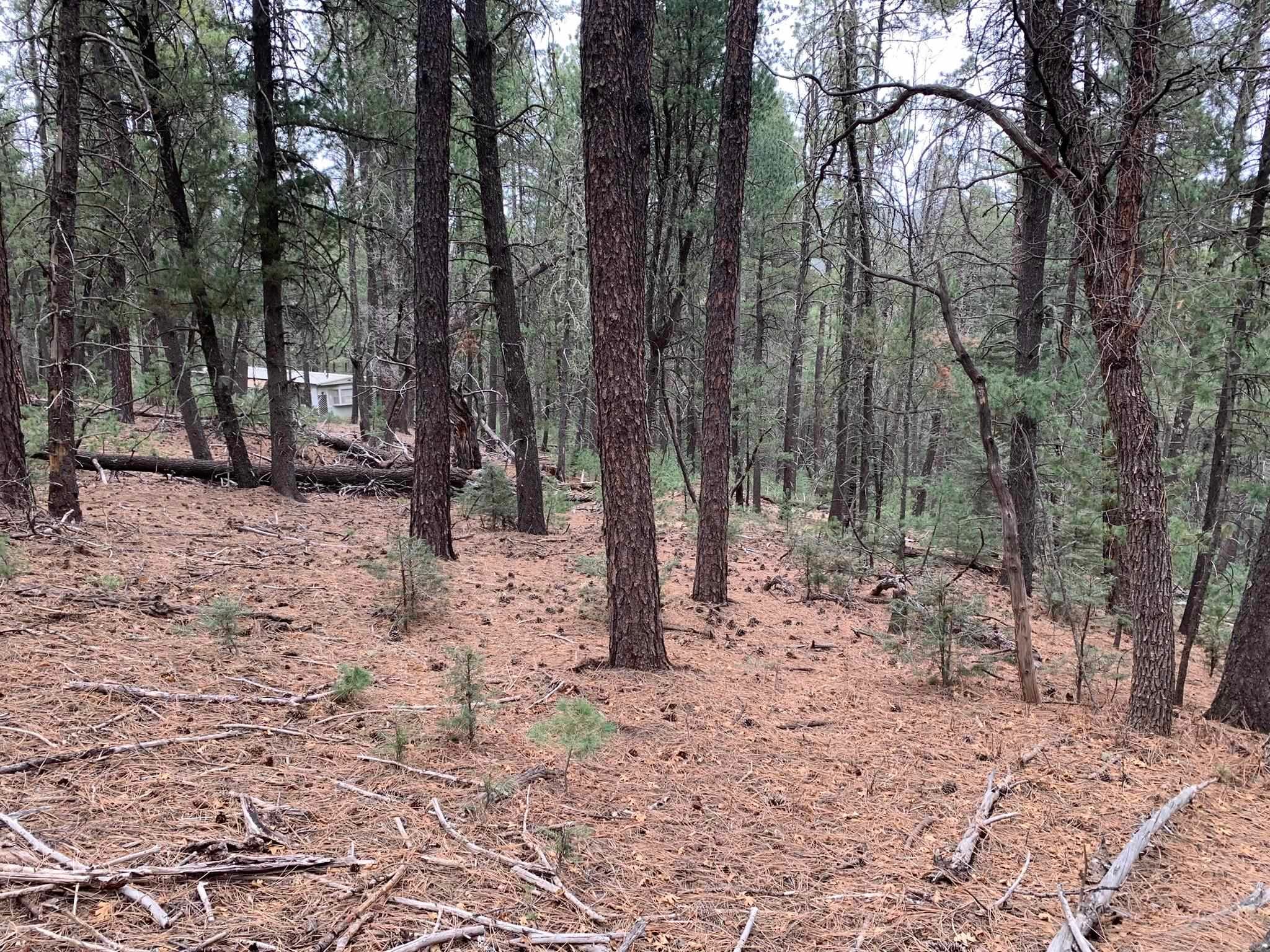 48 Cowan Road Mayhill, NM 88339 - Photo 28 of 37 Gallery Image 28