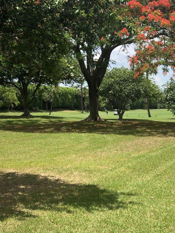 7830 La Mirada Drive Boca Raton, FL 33433 - Photo 27 of 28 View off the porch