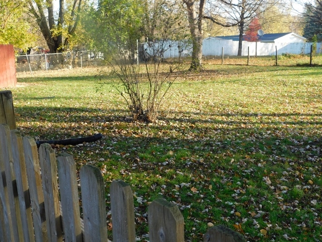 306 Errett Road Rochelle, IL 61068 - Photo 15 of 15 a view of a yard with an outdoor space