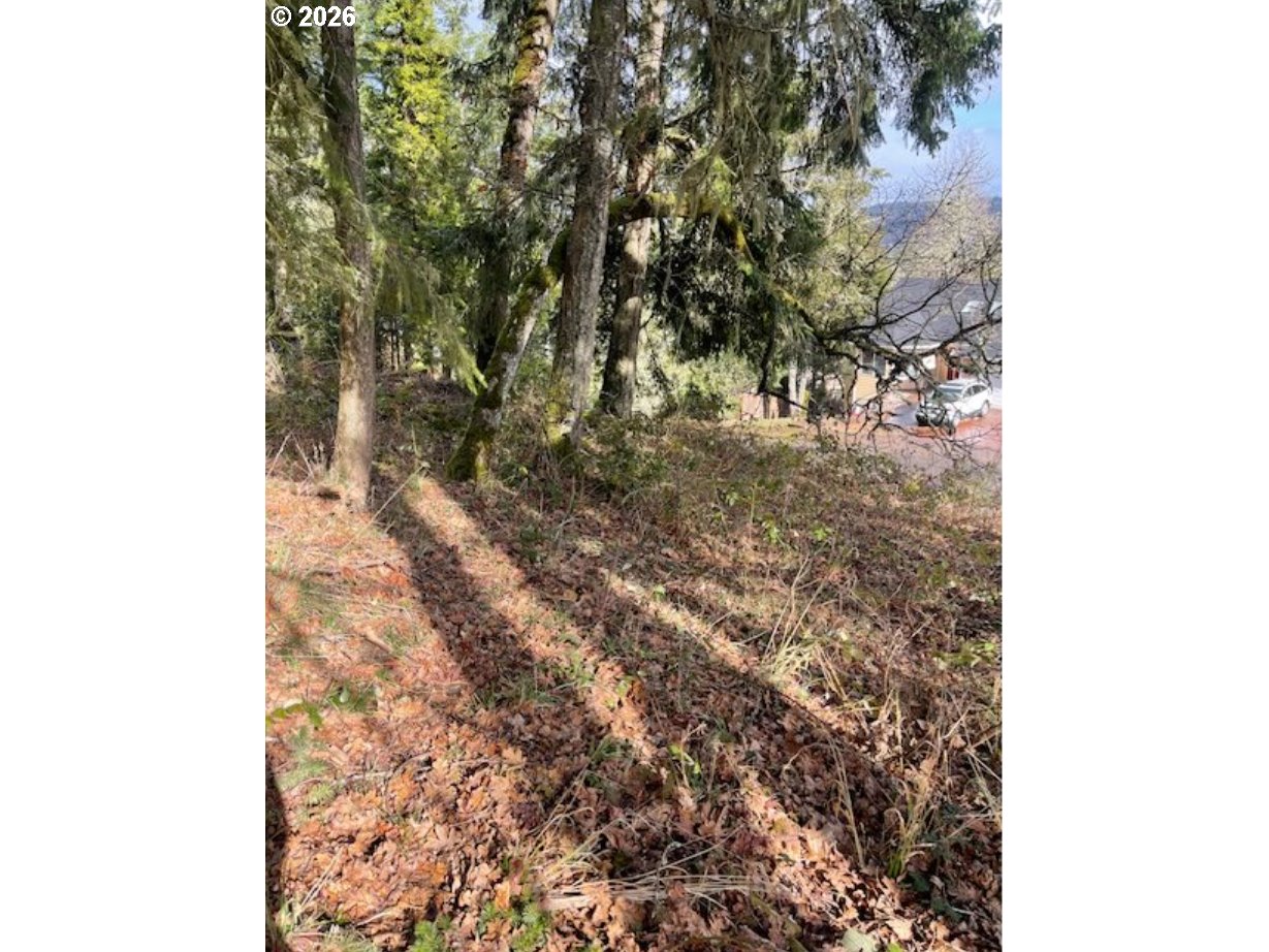 3872 Monroe Street Eugene, OR 97405 - Photo 2 of 9