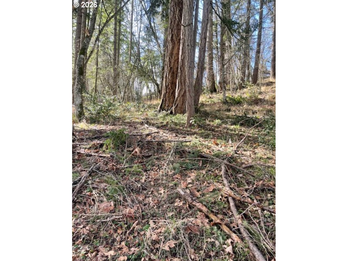 3872 Monroe Street Eugene, OR 97405 - Photo 4 of 9